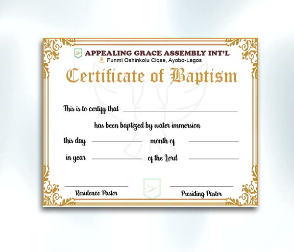 zfrica-Certificate