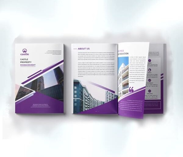 zfrica-Company-Profile-2