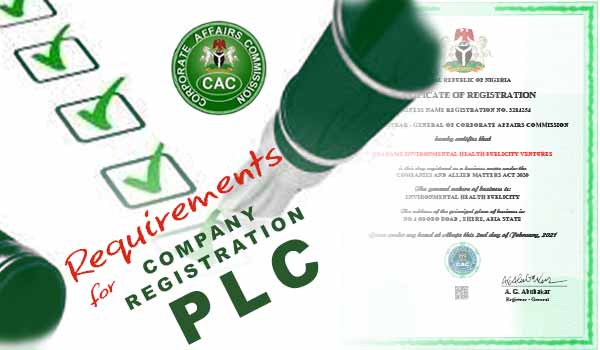 zfrica requirement company registration plc