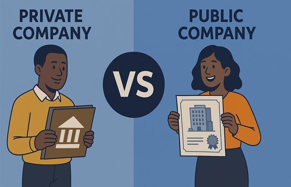 Private vs Public Company